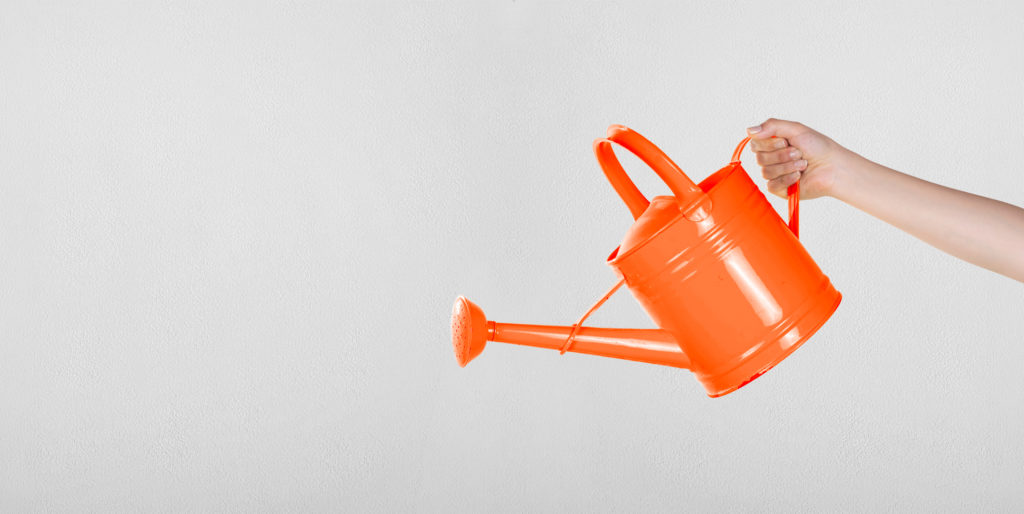 Hand holding out orange watering can.